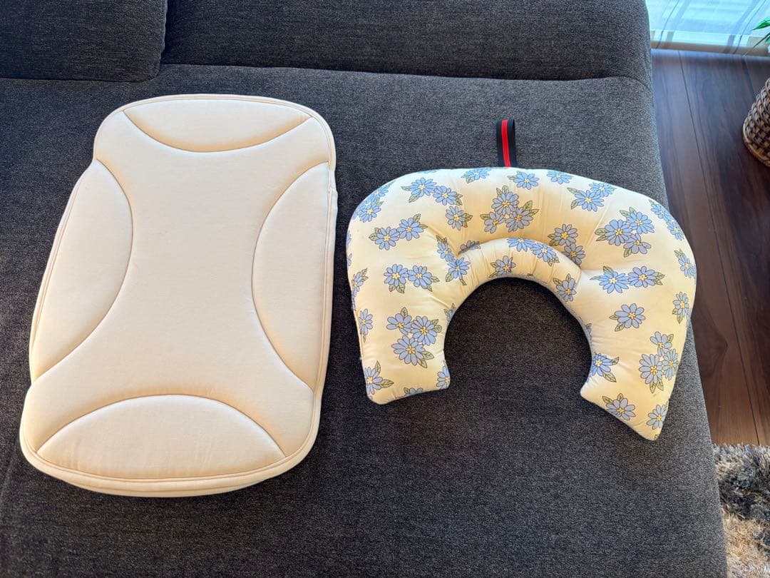 AIRBUGGY WIZX パールホワイト ペットカート