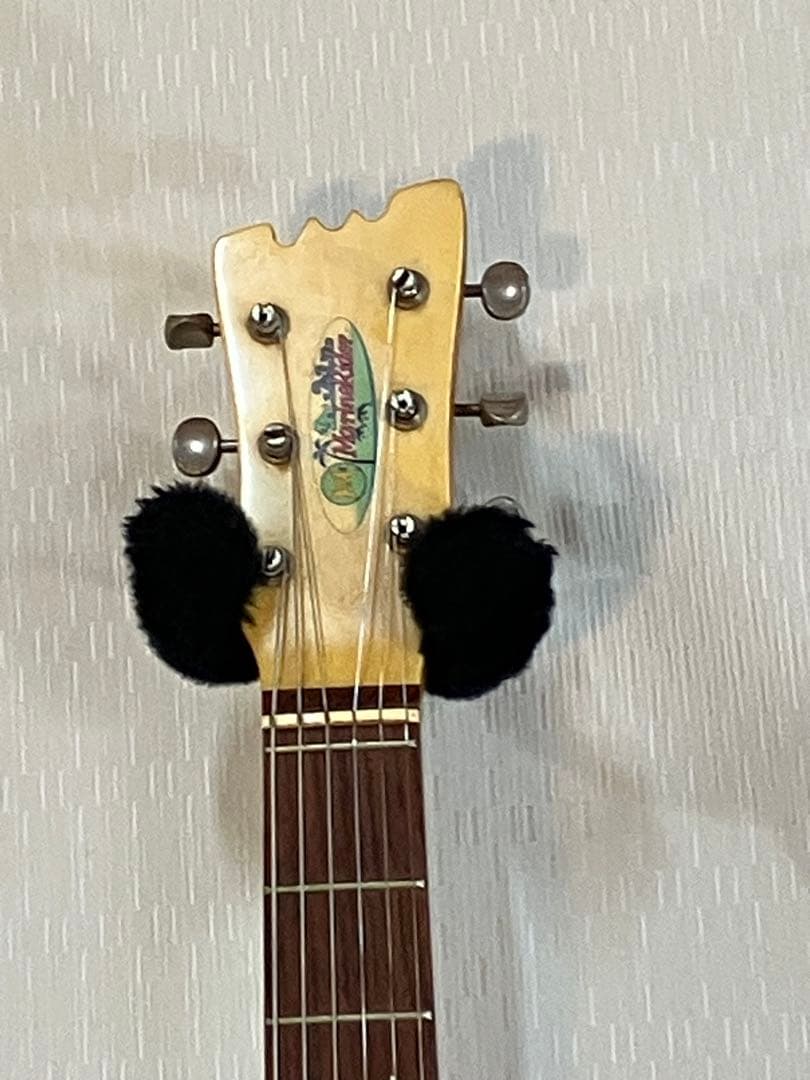 マリンライダー！内蔵アンプ・外部アンプ完動品❣️