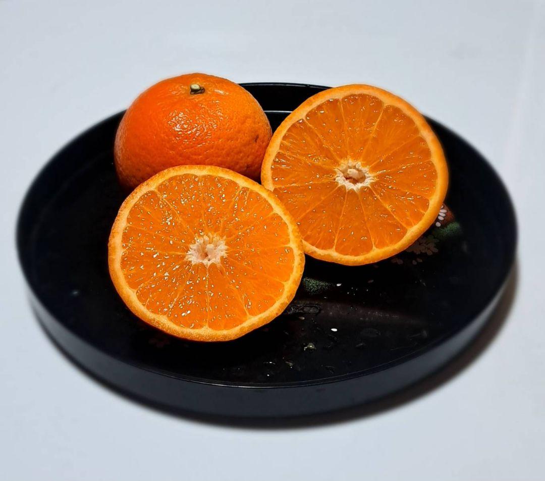 徳之島産 たんかん 10キロ 新鮮