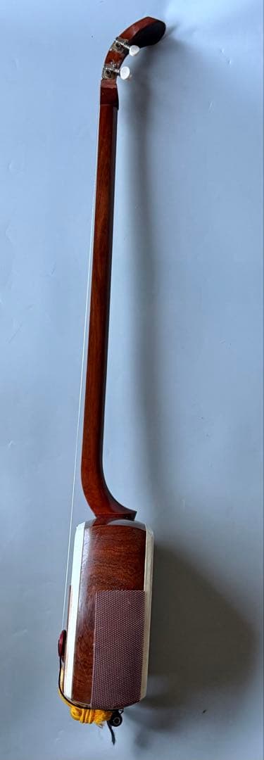 三味鉄弦　レア楽器　ピックアップ装備　ハードケース付