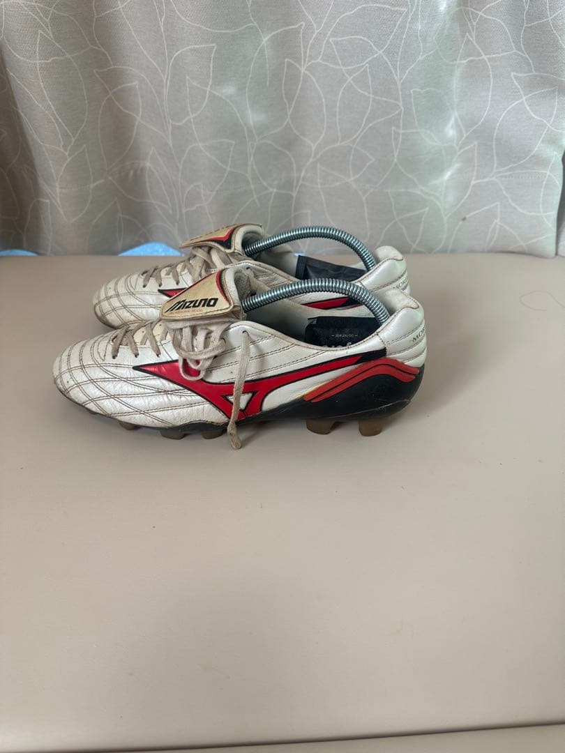 モレリアウェーブ ミズノ