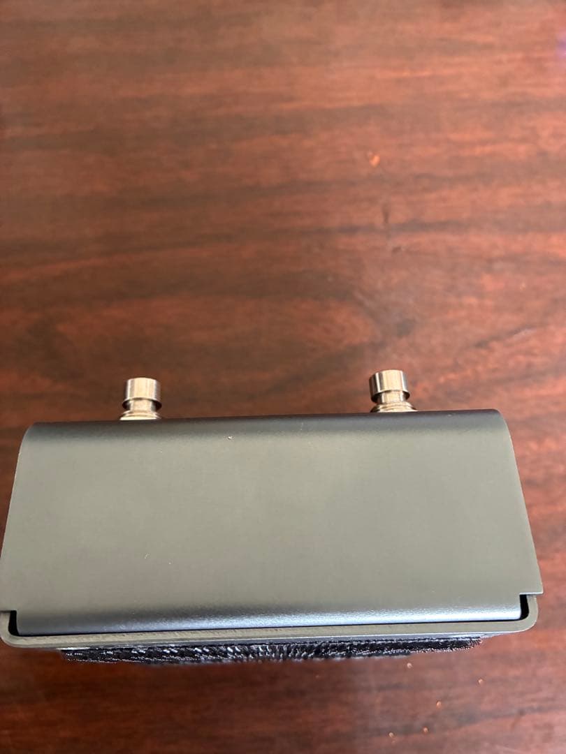 ギター Strymon El Capistan v2