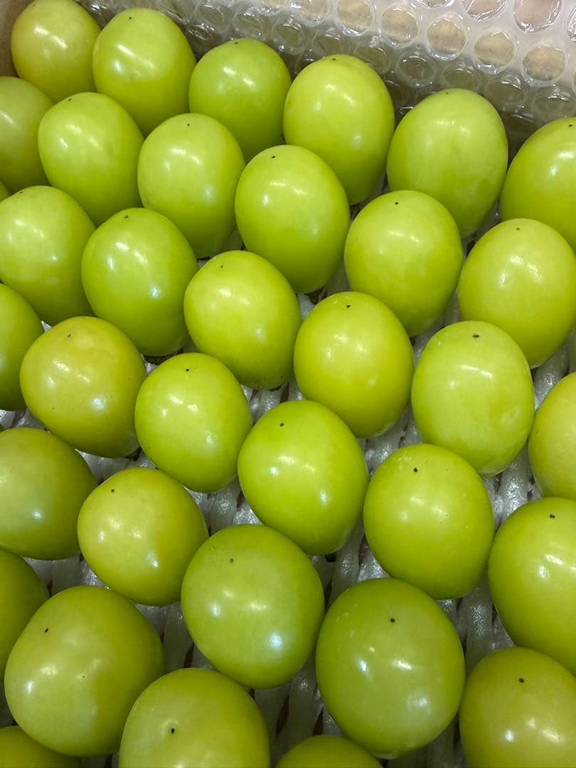 衣さま　シャインマスカット2キロ箱