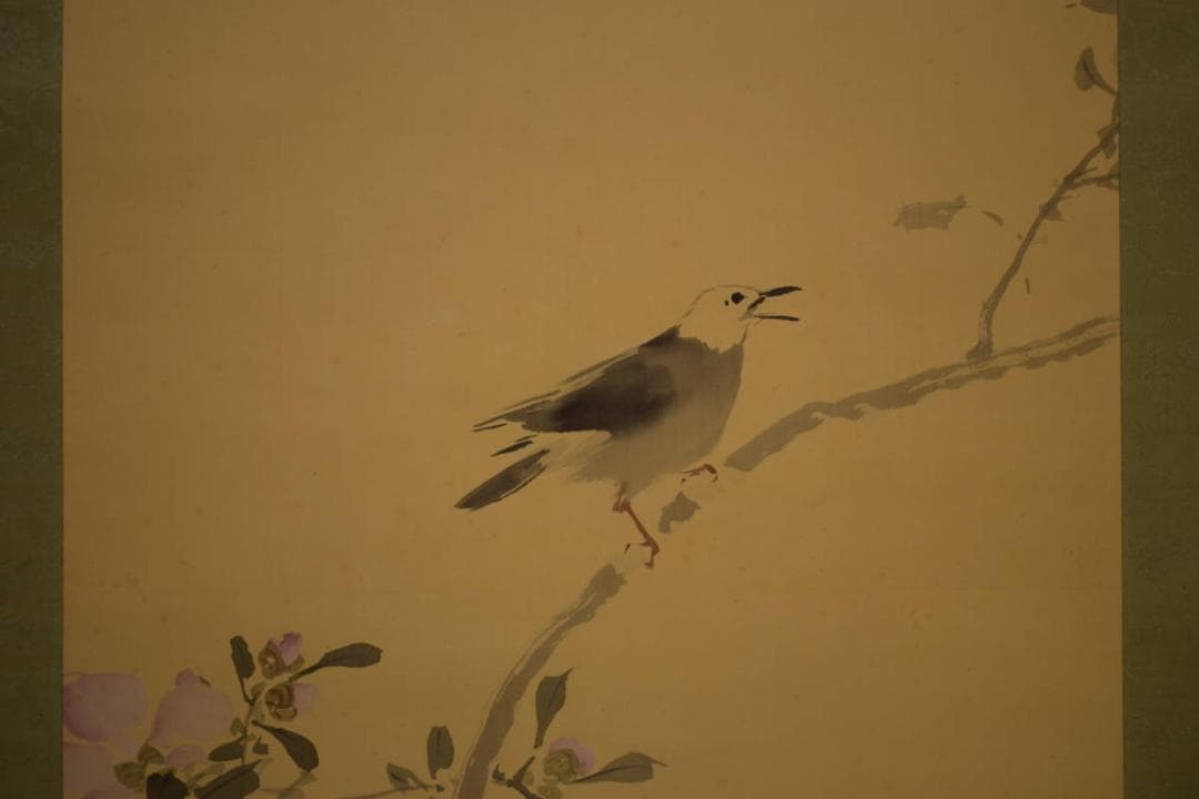 真作/池上秀畝/山茶花に小禽図/桐共箱付/布袋屋掛軸HI-751