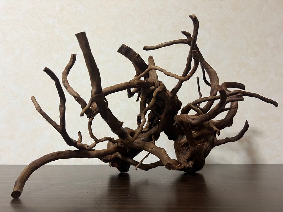 32205 ブランチウッド　流木　アクアリウム 沈水確認済