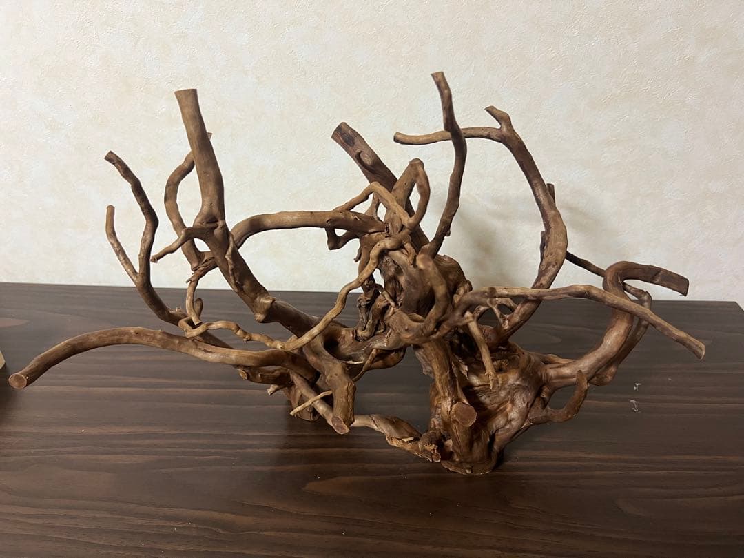 32205 ブランチウッド　流木　アクアリウム 沈水確認済