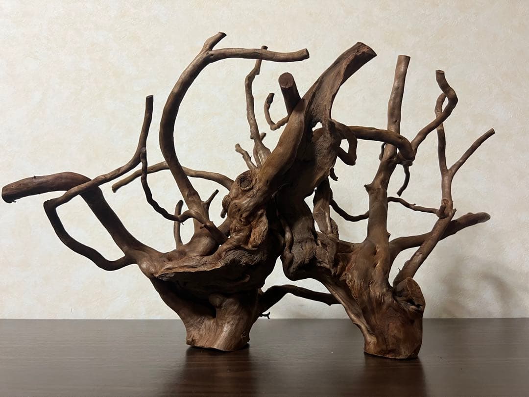 32205 ブランチウッド　流木　アクアリウム 沈水確認済