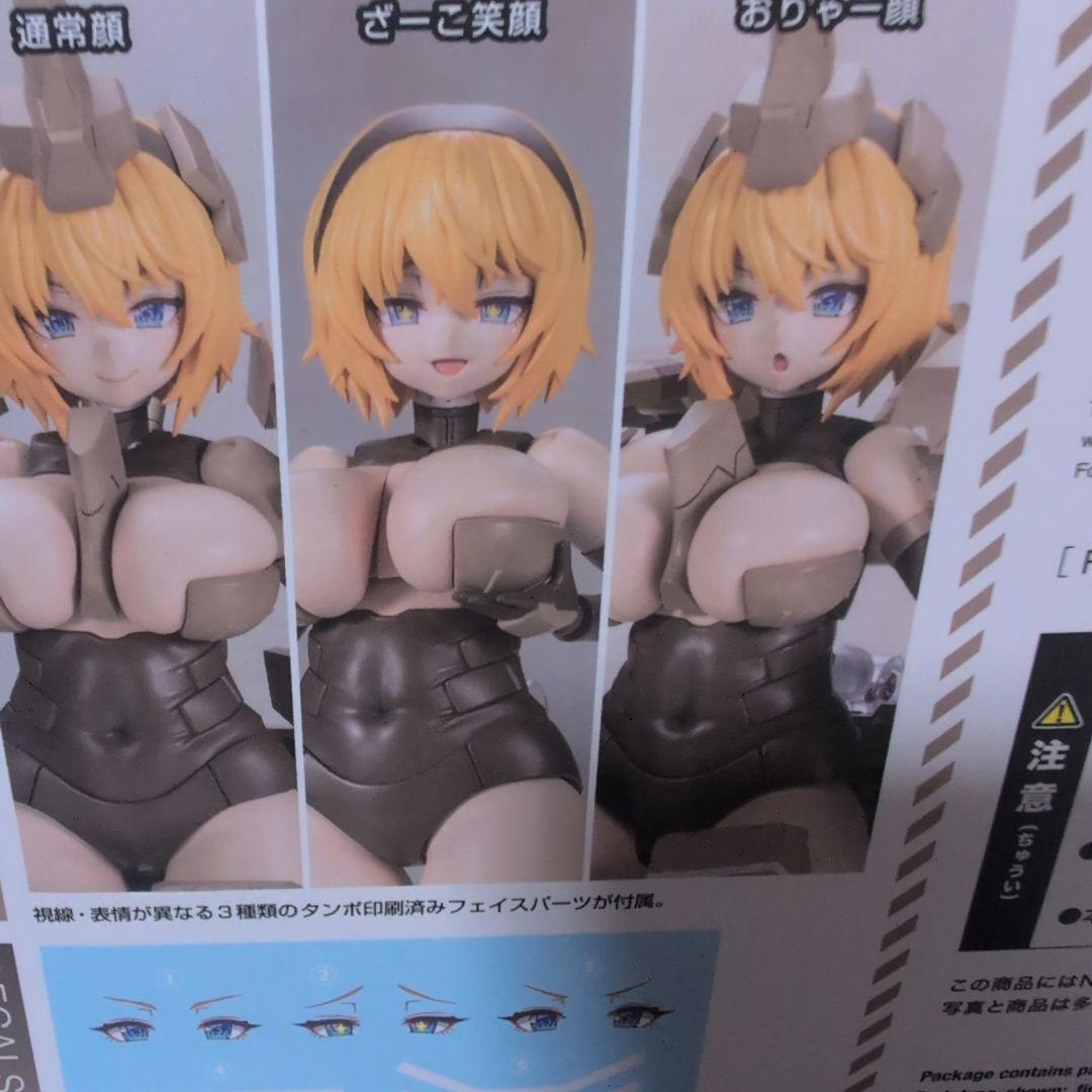 すぐ消します）新品未開封　フレームアームズ・ガール 輝鎚・甲