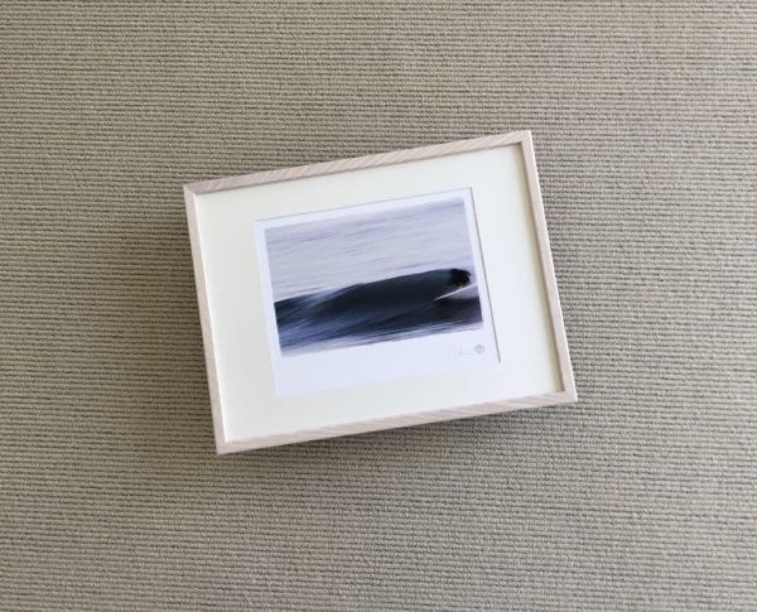 マシューアレン　Surf Photo Print Displacement