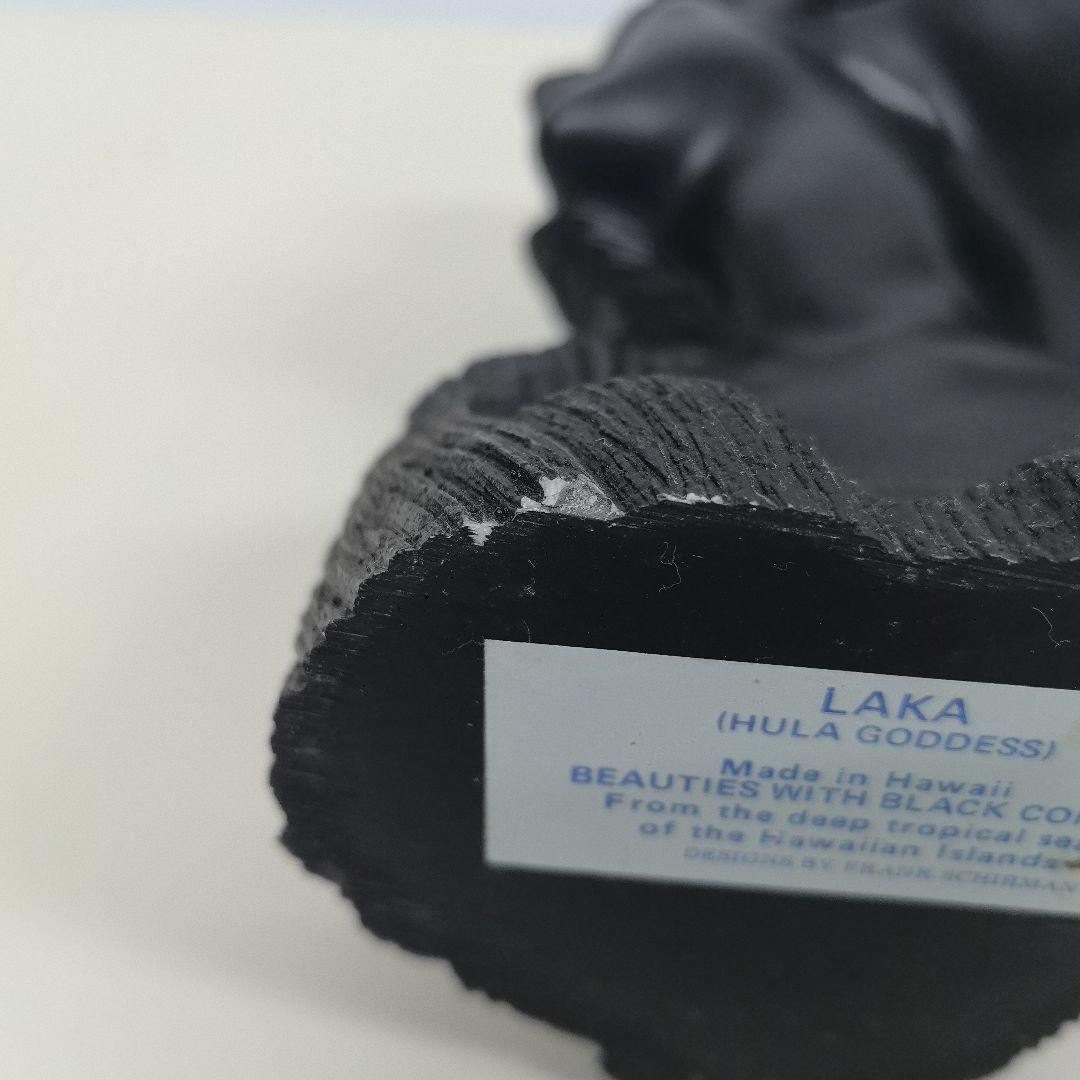ハワイのフラの女神「ラカ」　黒珊瑚礁