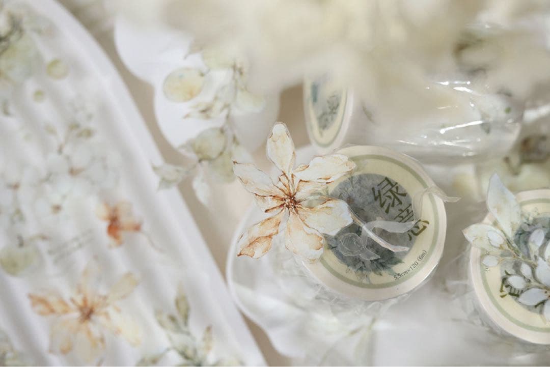 小白家文創《绿意》海外マスキングテープ　マステ 【2094】