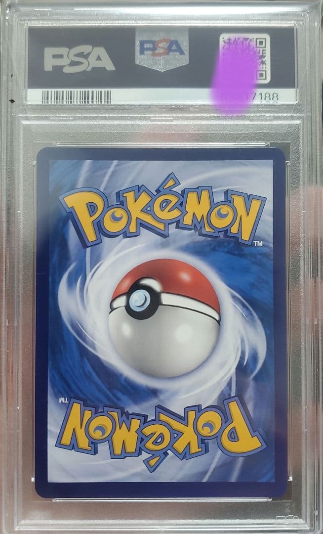 エリカのおもてなし　sr　中国版