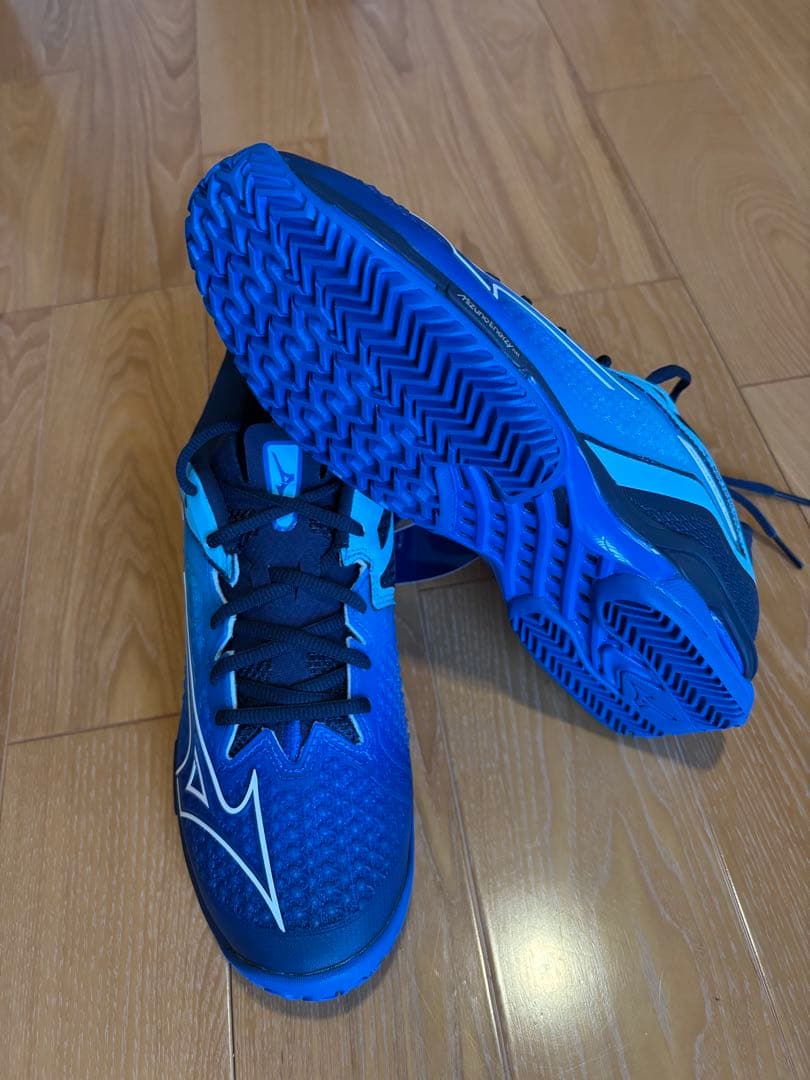 新品テニスシューズ ミズノ オムニ クレー ウエーブエクシードツアー6OC