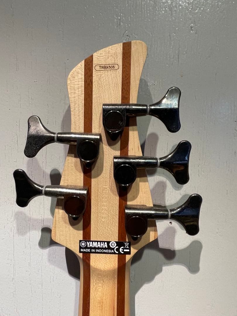 YAMAHAヤマハTRBX505５弦ベース➕VOX AP2-BS 専用ケース
