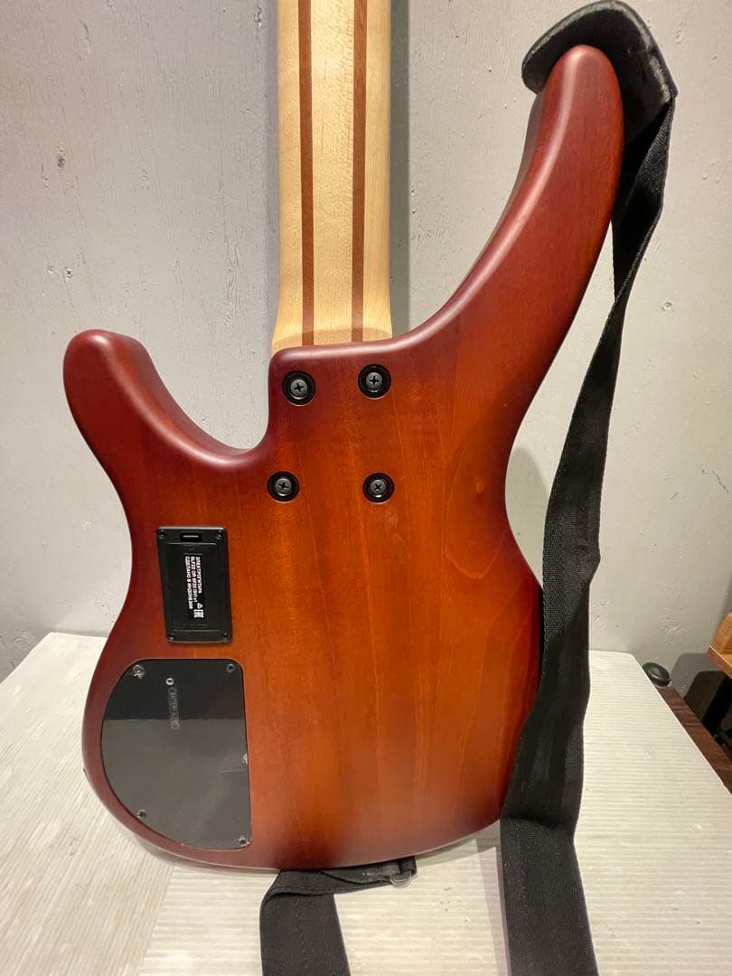 YAMAHAヤマハTRBX505５弦ベース➕VOX AP2-BS 専用ケース