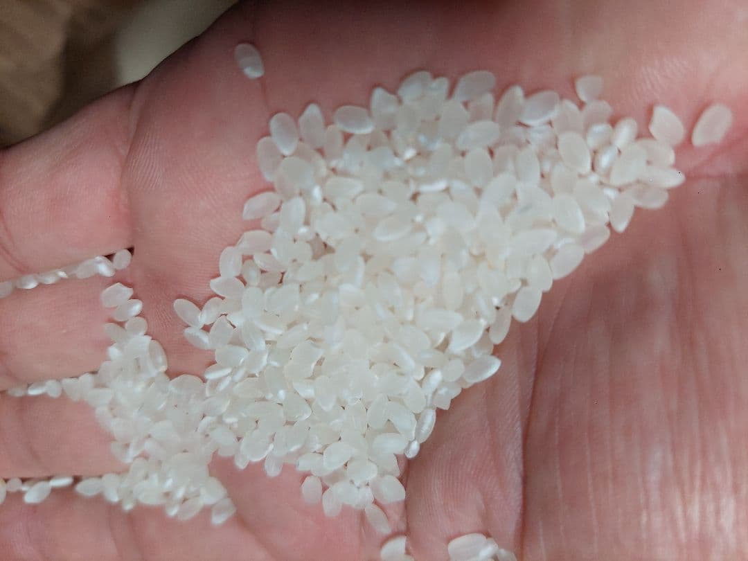 新潟県産 コシヒカリ 特別栽培米 20kg　７年産