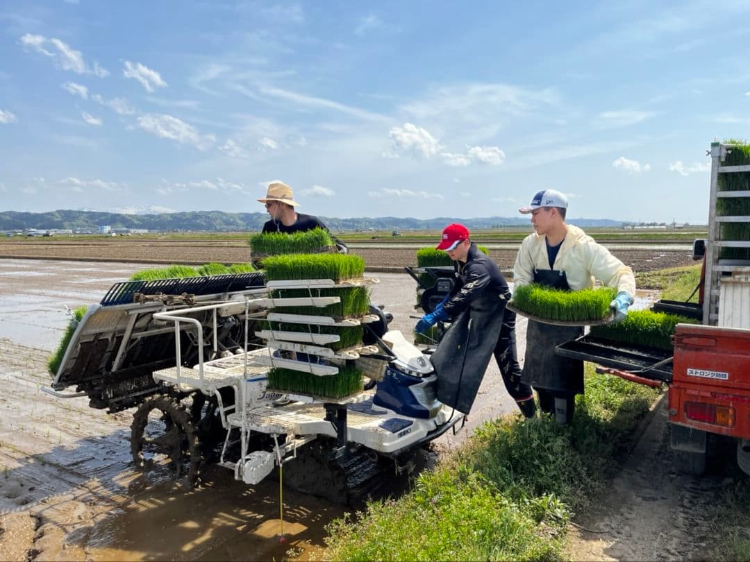 新潟県産 コシヒカリ 特別栽培米 20kg　７年産