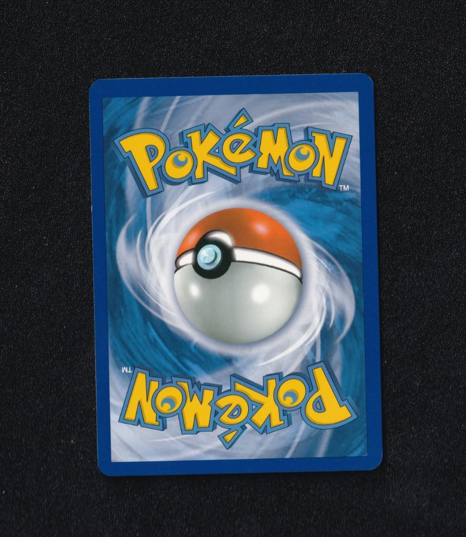 英版シャワーズ チャンピオンシップSTAFFプロモ ➂