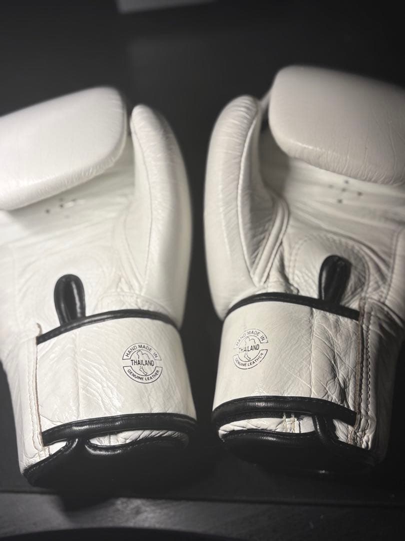 Fairtex ONE グローブ 14oz ※プロフィール必読クッキー