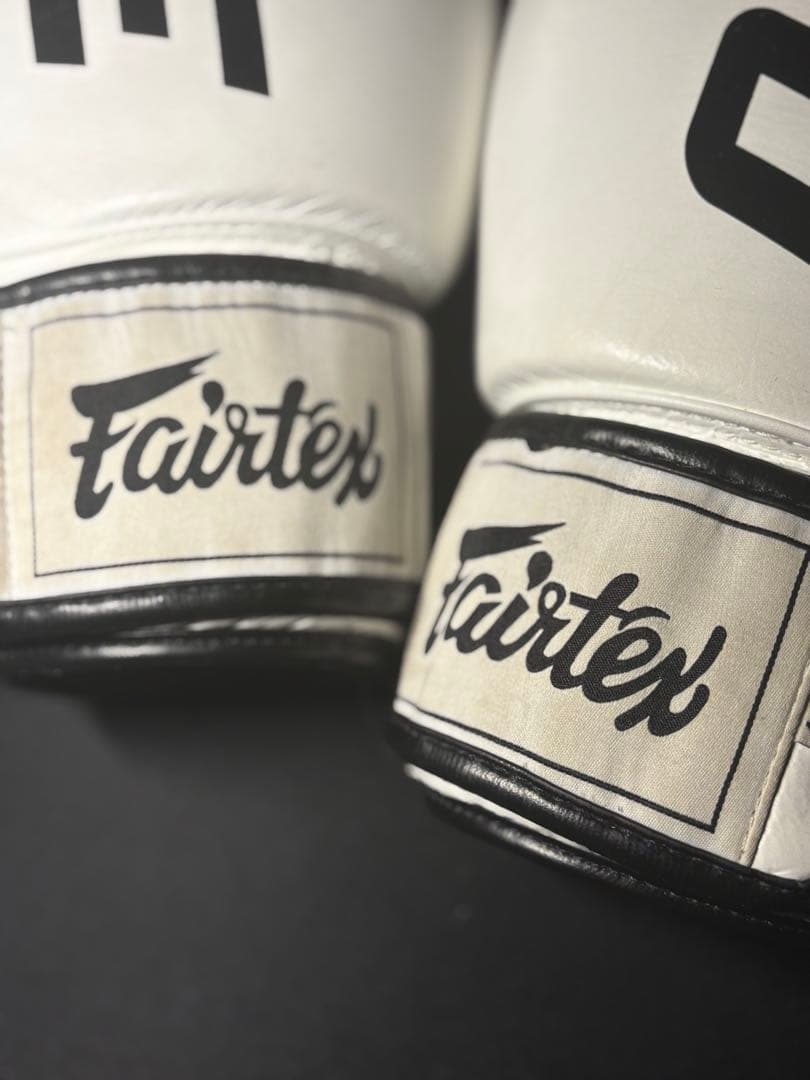 Fairtex ONE グローブ 14oz ※プロフィール必読クッキー