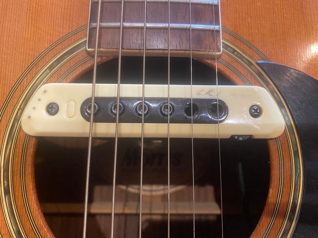 Morris W-25 アコースティックギター L.R.Baggsピックアップ付