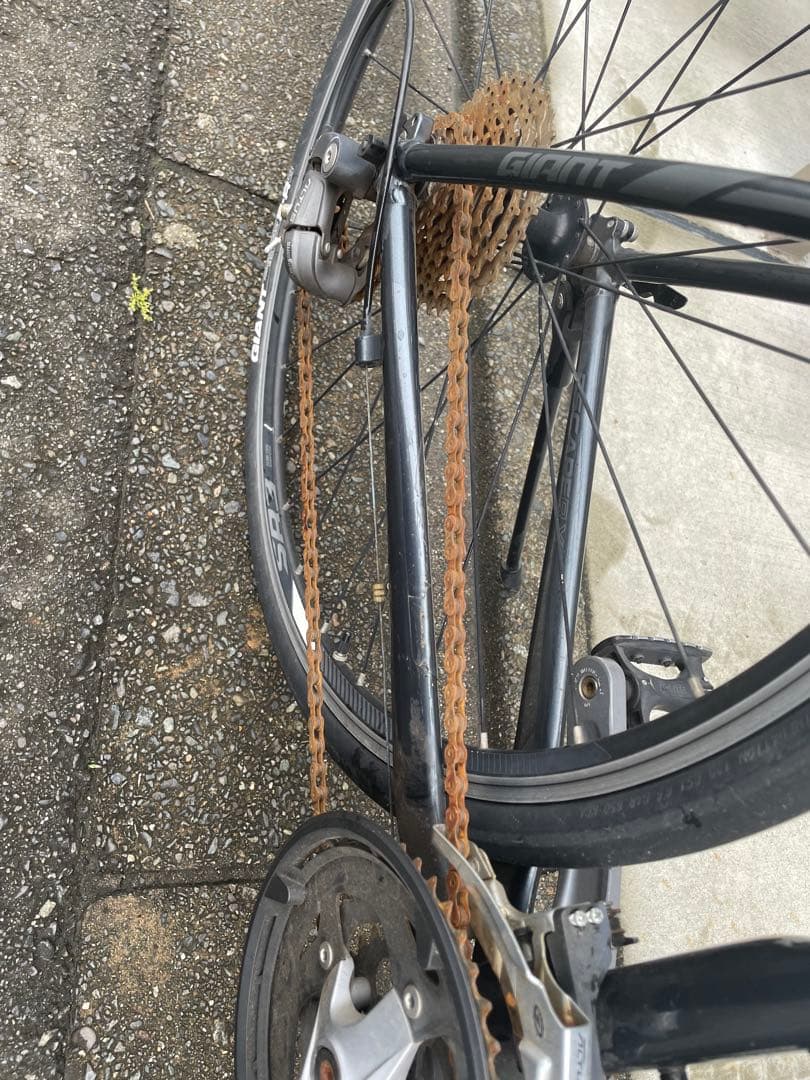 GIANT Escape RX2 2019モデル