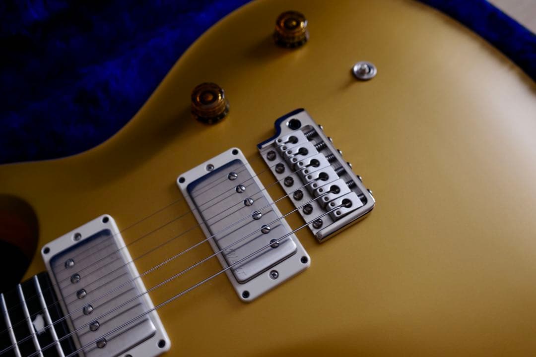 ご*う様 PRS CE24 Configuration Gold Top Lim