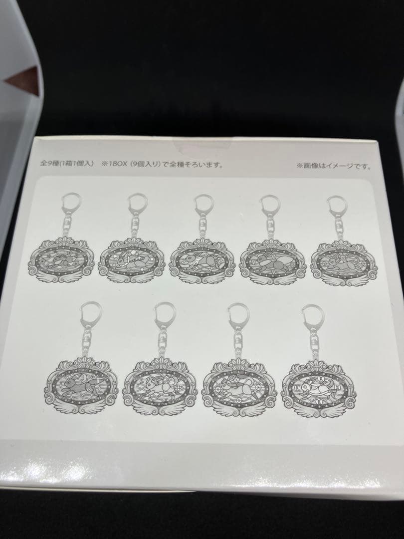 ポケパーク　カントー　限定 ブイブイヴォヤージュ アクリルキーホルダー 全9種