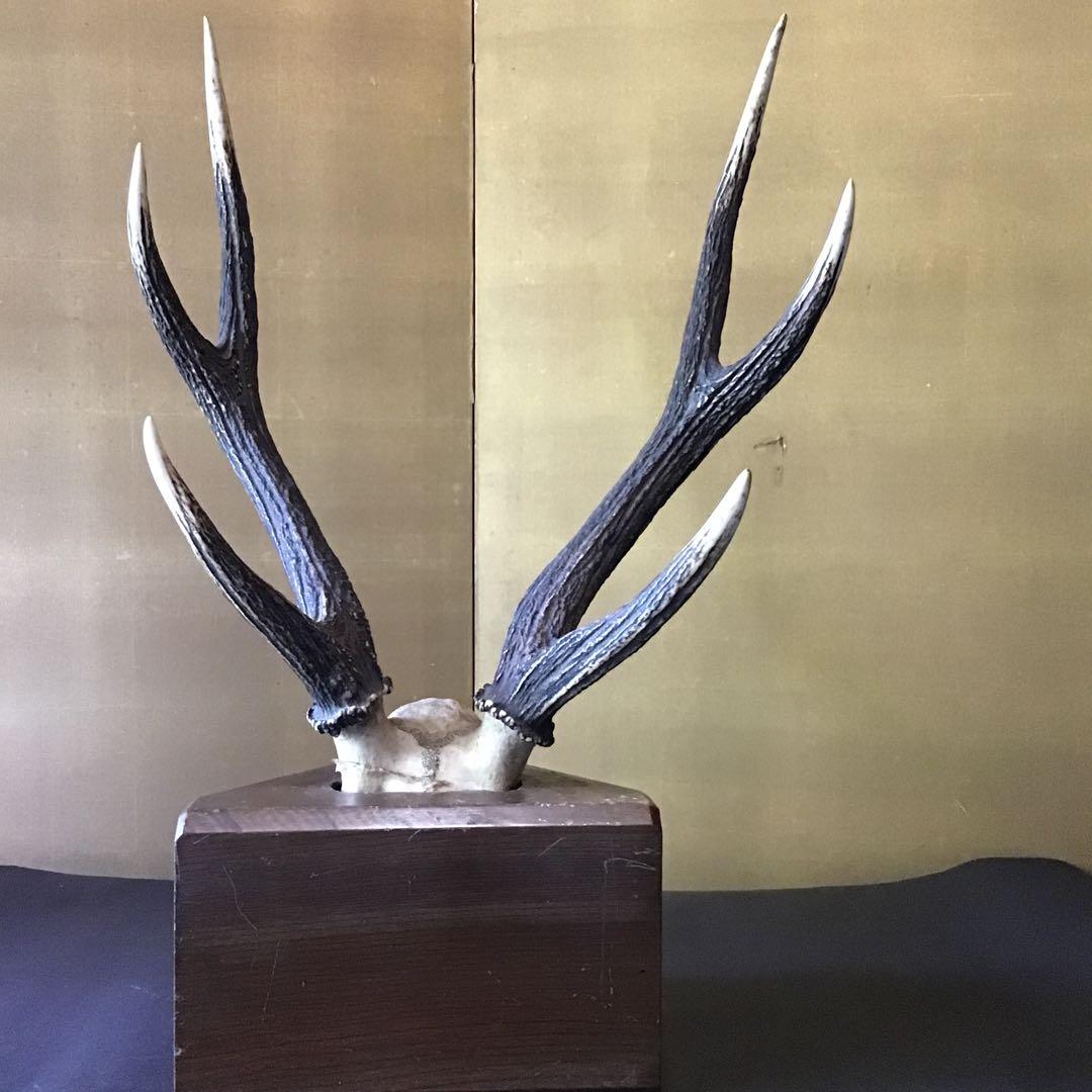 刀掛　日本本州鹿角製