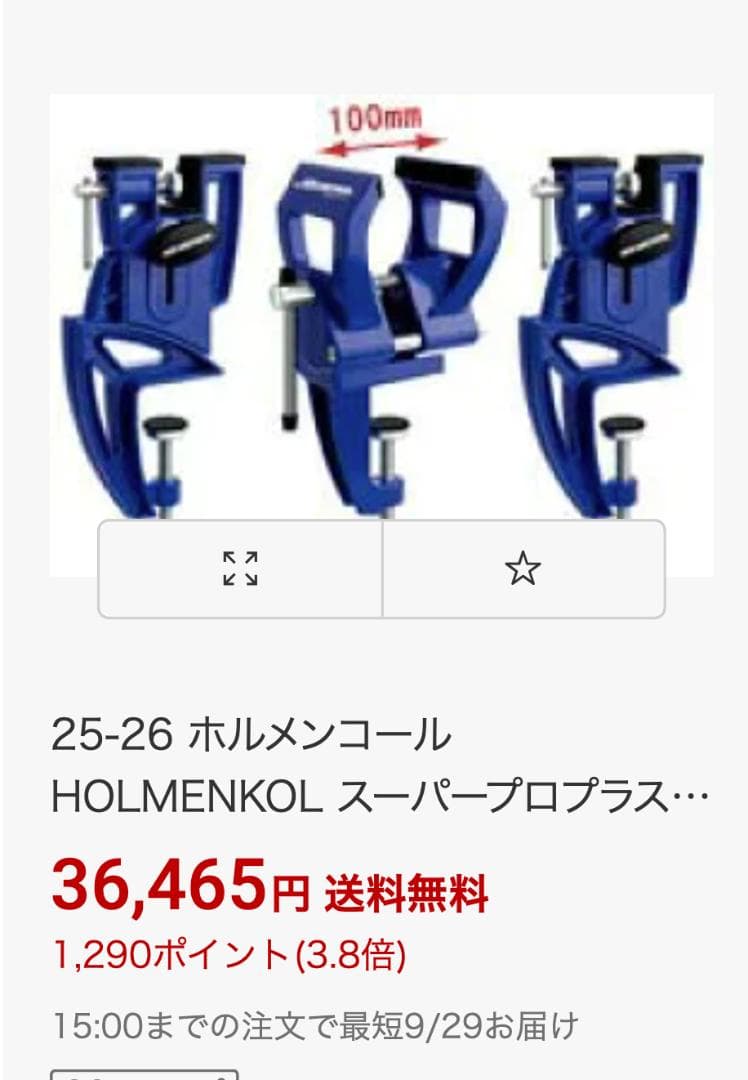 HOLMENKOL スーパープロプラス WC 24432 スキーバイス