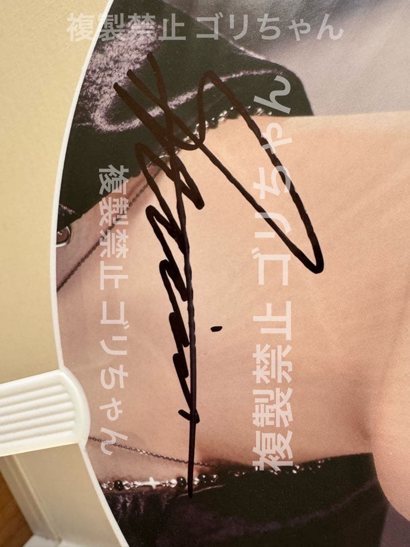 Stray Kids スンミン 直筆サイン うちわ 5-STARドームツアー