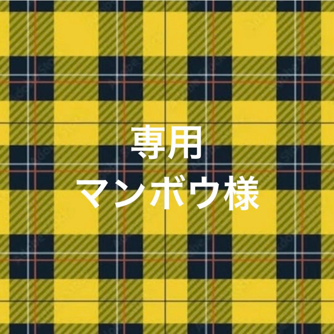 専用ページ マンボウ様8/15