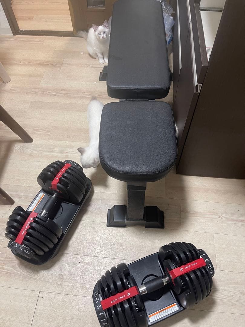 ぽきぽきさん専用