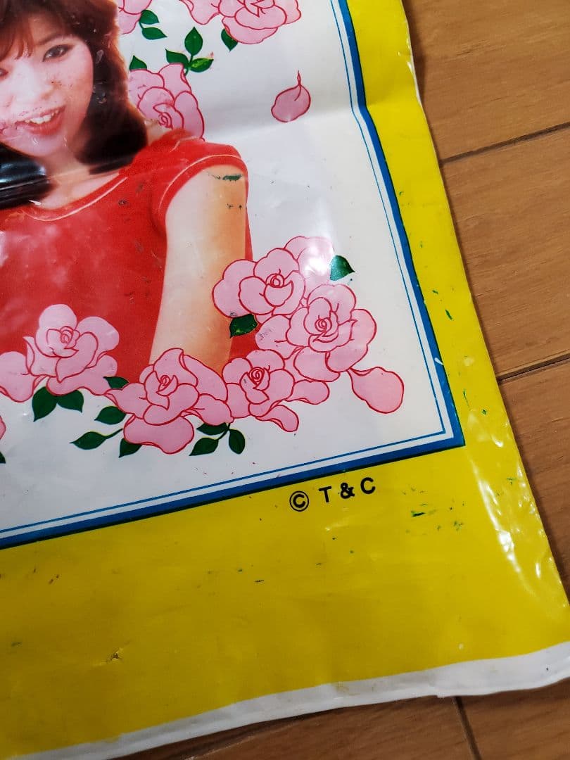 ピンク・レディー 昭和アイドル 写真 ビニールバック