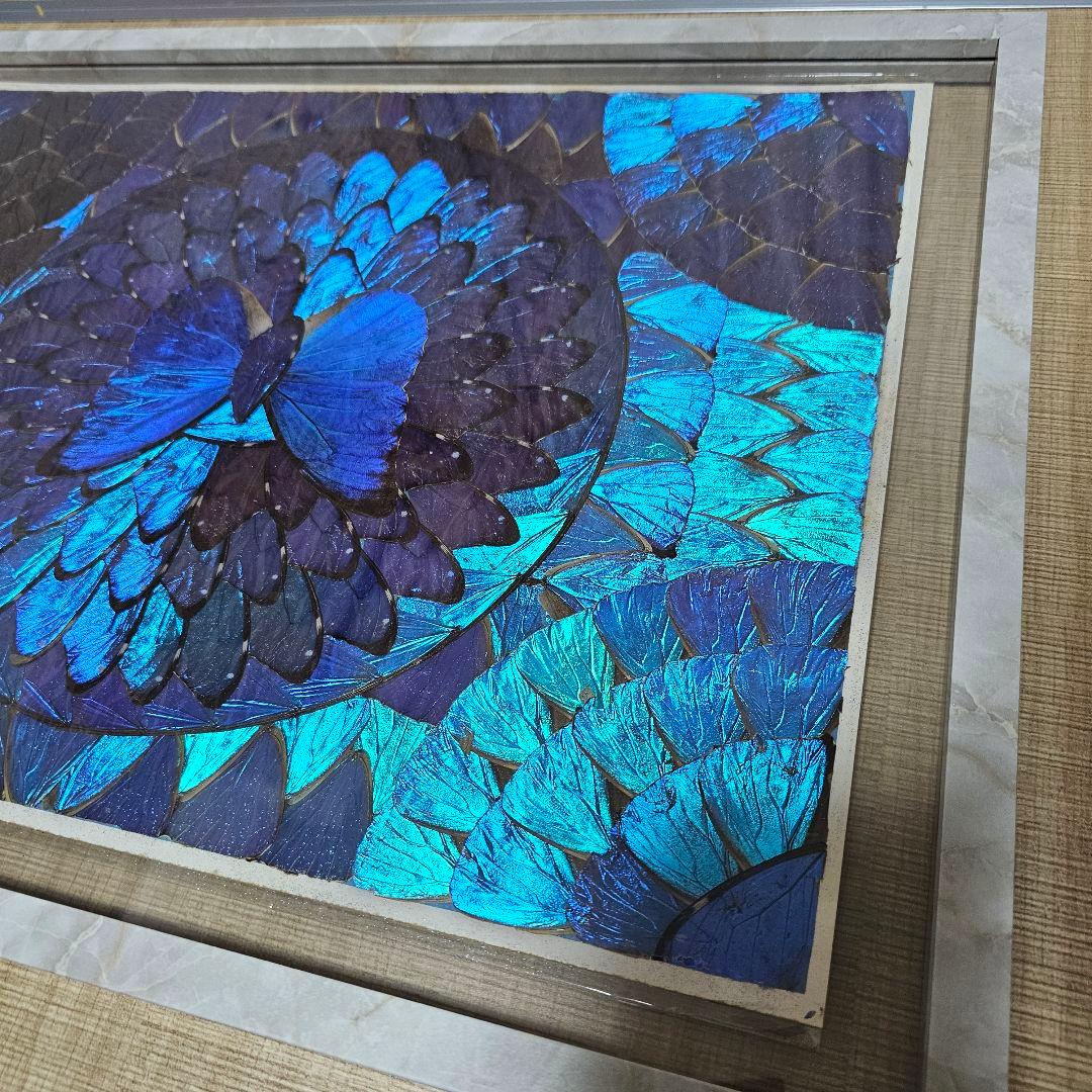 幻想的なブルーバタフライアート 額縁付き インテ リア 壁掛け装飾品