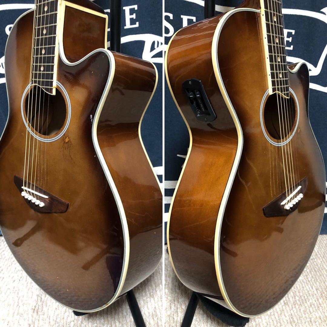 今月末迄特価‼️初心者の方❣️K galley EA-200 エレアコ 備品セット