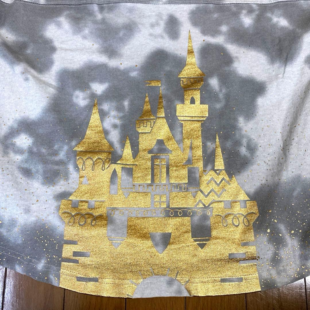 海外限定 ディズニー スピリットジャージー ロンT アナハイム M アメリカ