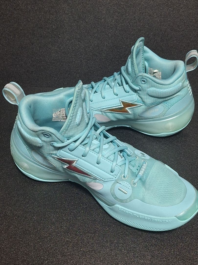 リーニン wayofwaed10 26.5箱あり