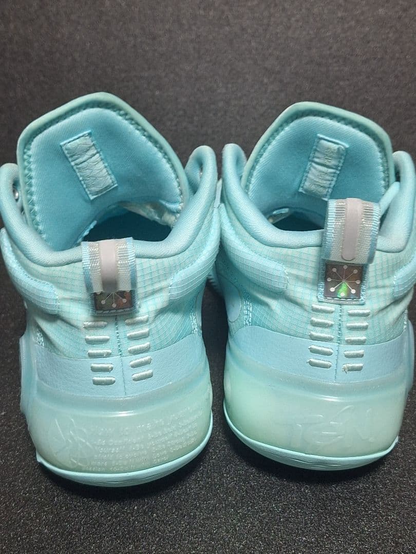 リーニン wayofwaed10 26.5箱あり