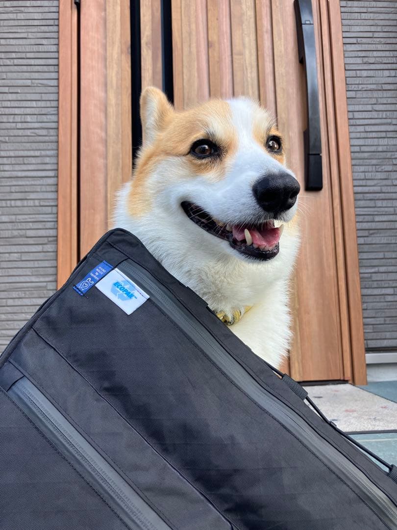 kuronekoハンドメイドフレームバッグ