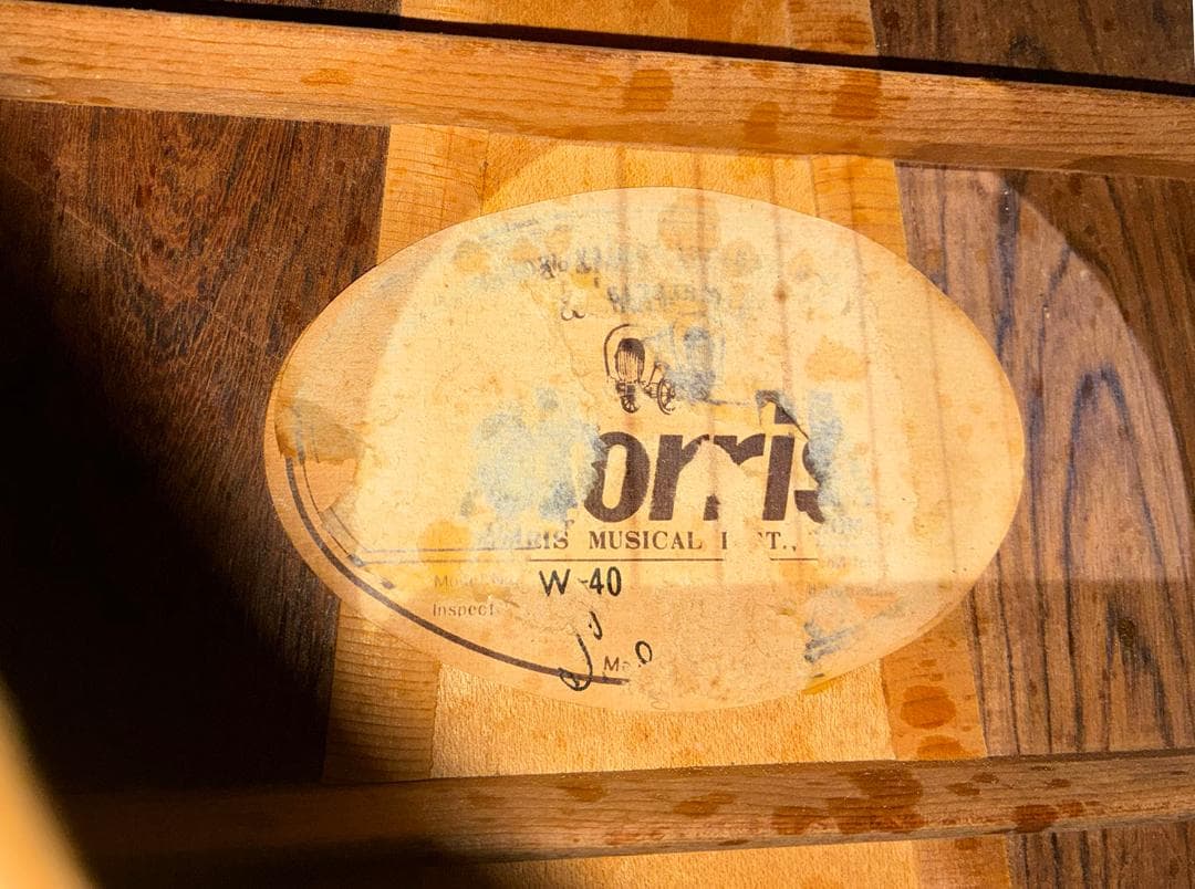 ★ 超激鳴り！弦高調整済み！モーリスW40 ハカランダ　試聴動画有　★