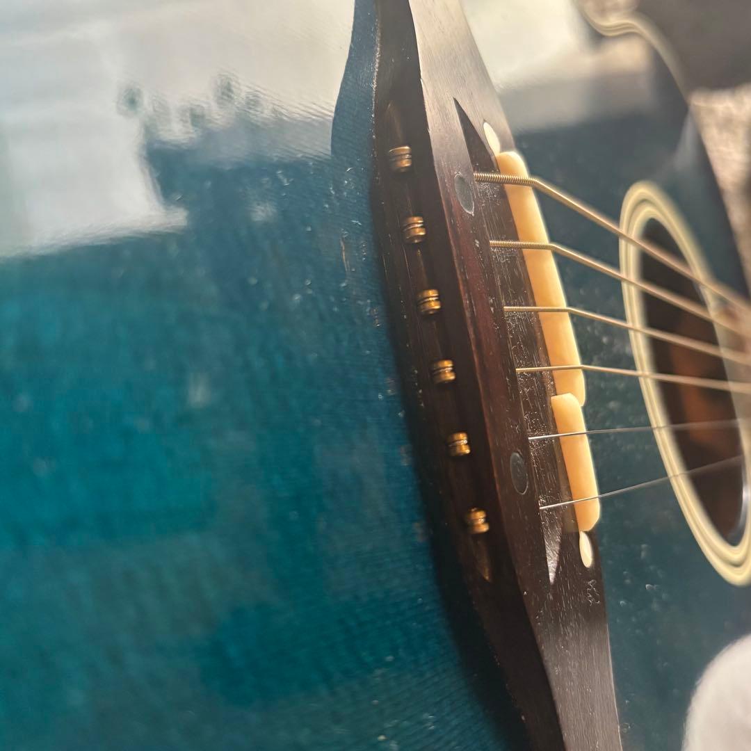 【ヒヒダルマ】takamine 【PT-100】エレアコギター