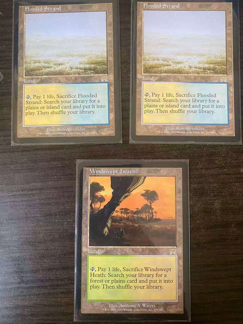 mtg 溢れかえる岸辺　吹きさらしの荒野　3枚セット