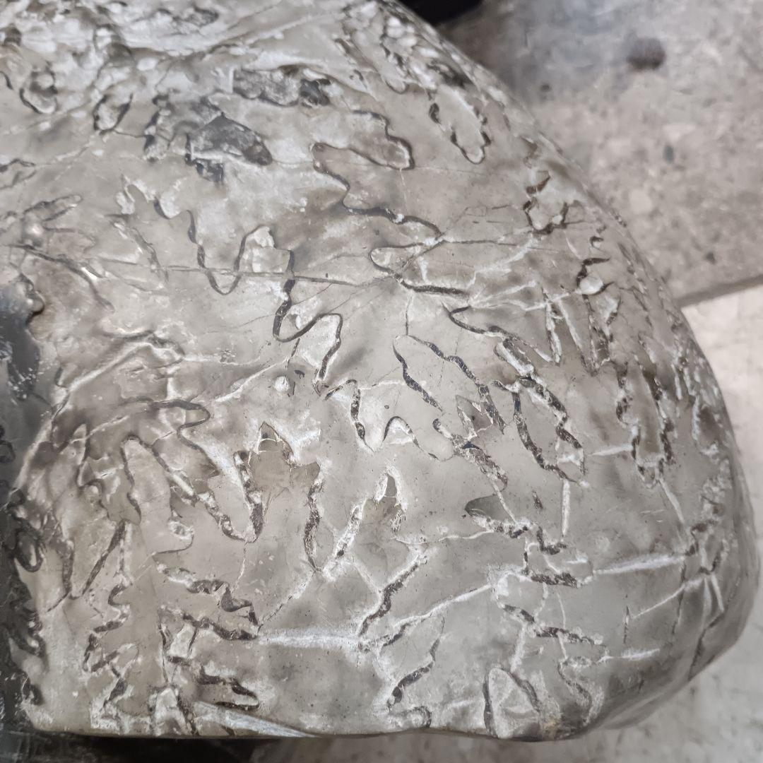 ４５２５）アンモナイトの化石　３０ｋｇ超え　縫合線　鑑賞石　置物