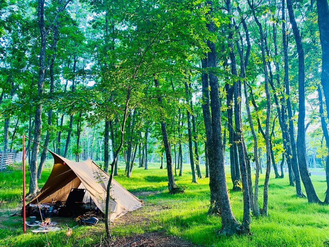 パンダtc+ シルスtc セット販売