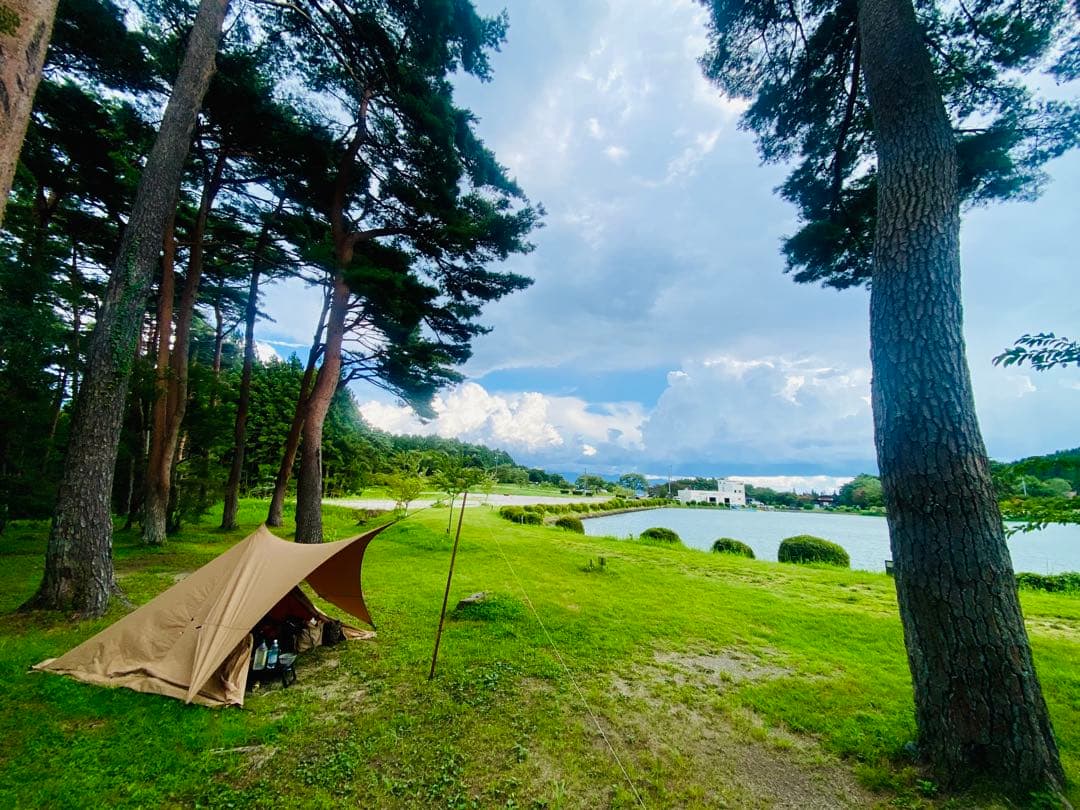 パンダtc+ シルスtc セット販売