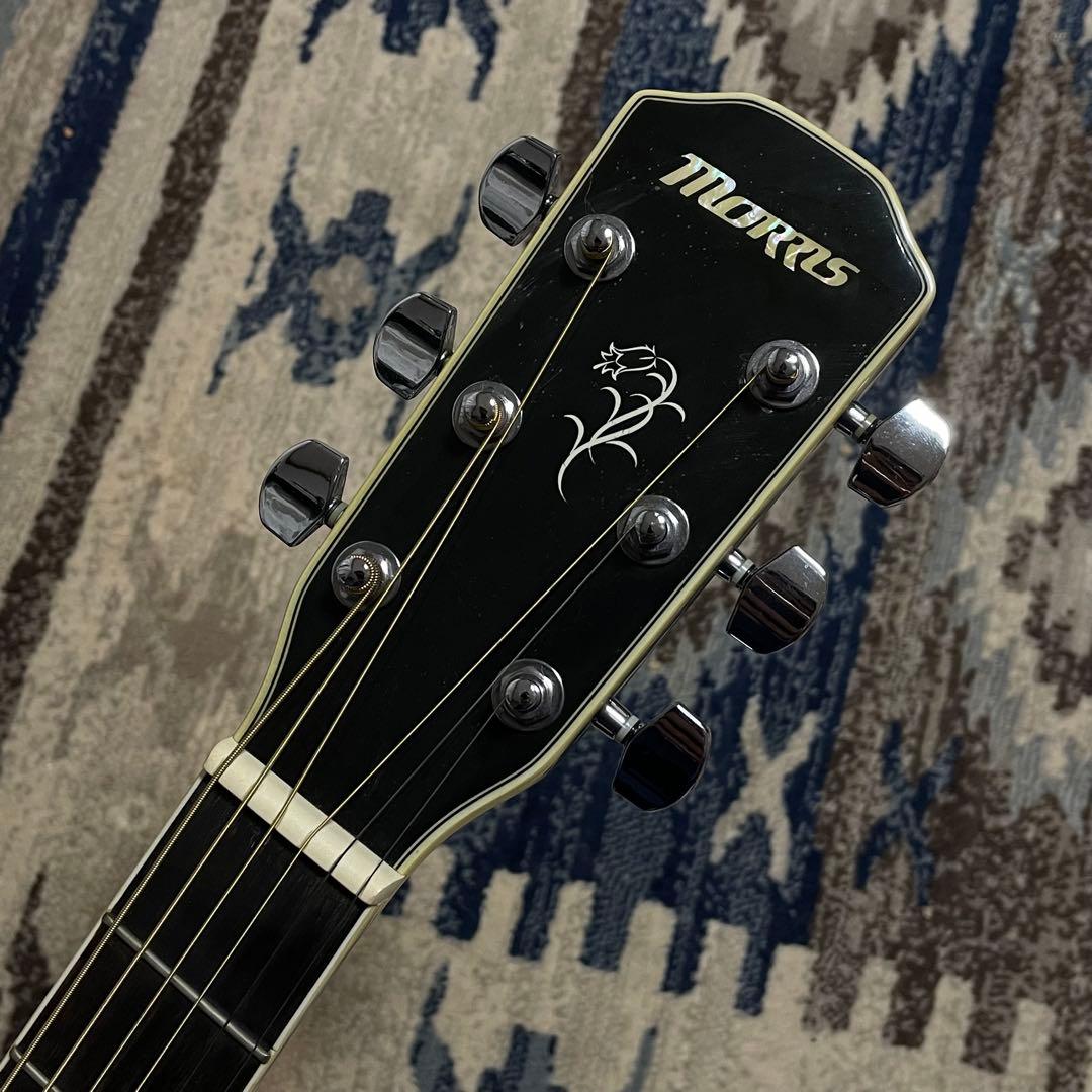 Morris M-12II BLK スプルース トップ単板 ケース&セット付き