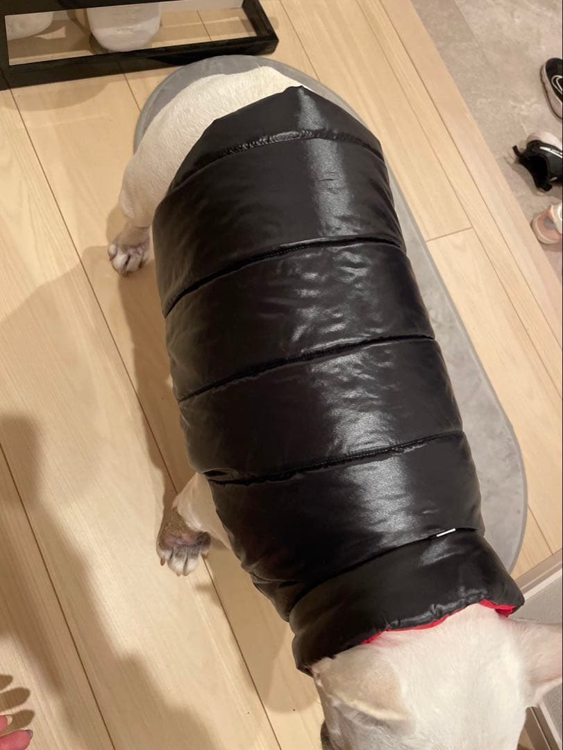 シェリー　モンクレール犬用ダウン　MONCLER