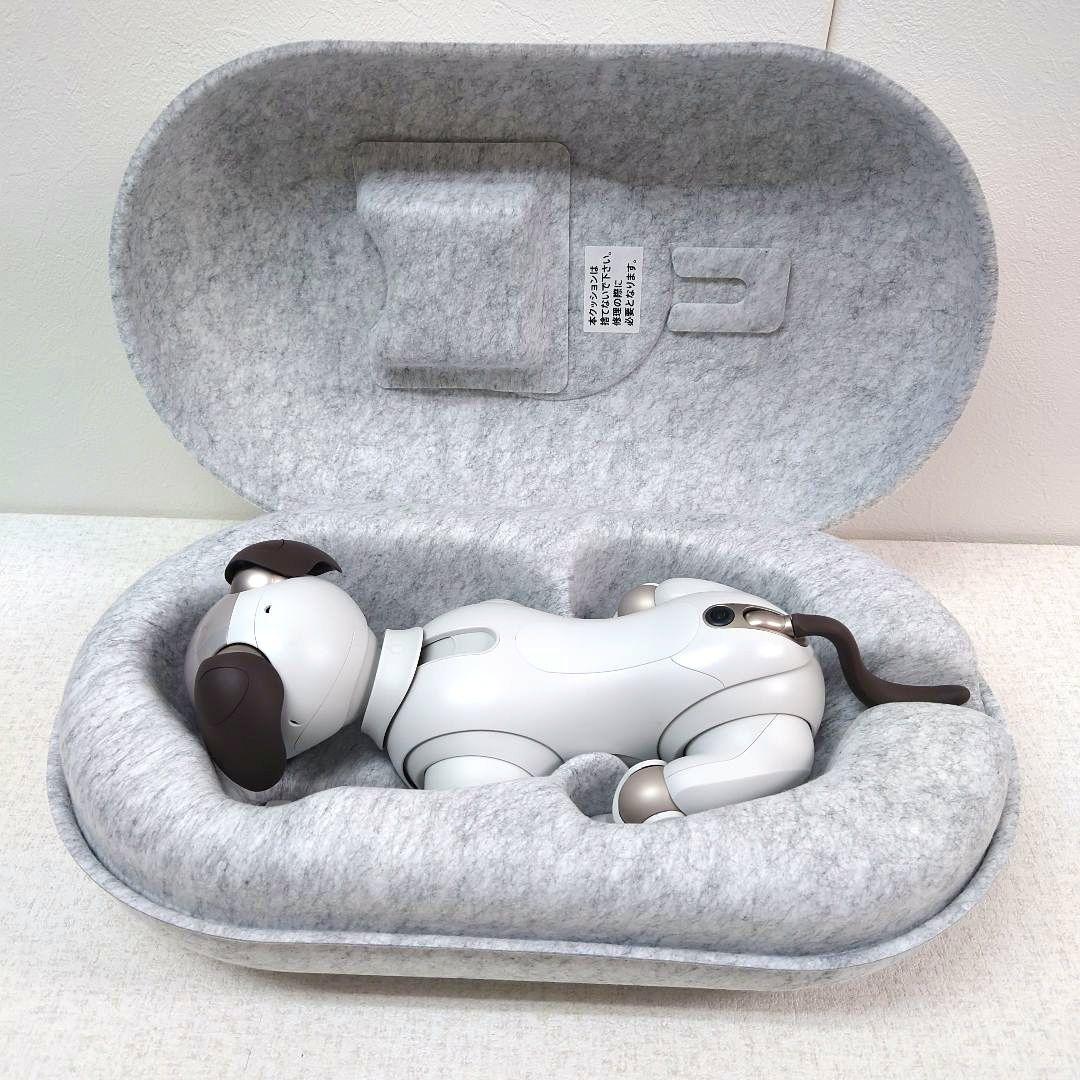 M0116D1 aibo ERS-1000 エンタテインメントロボット