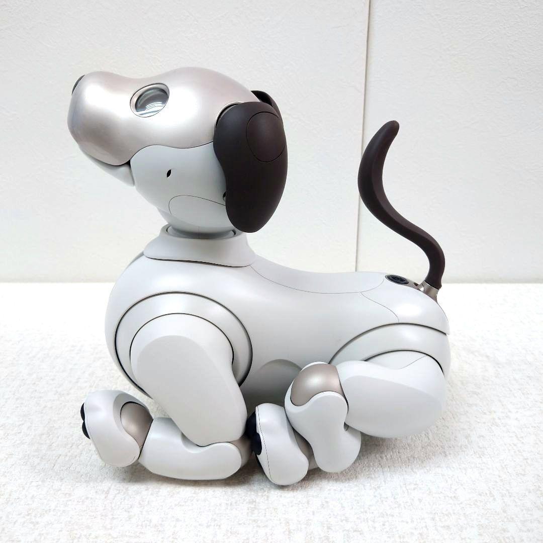 M0116D1 aibo ERS-1000 エンタテインメントロボット
